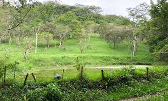 Imagem 4: Lindíssima área no morro da Encantada com escritura e uma bela vista