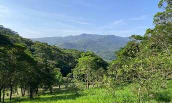 Imagem 1: Lindíssima área no morro da Encantada com escritura e uma bela vista