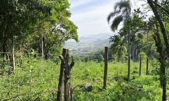 Imagem 6: Lindíssima área no morro da Encantada com escritura e uma bela vista