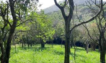 Imagem 5: Lindíssima área no morro da Encantada com escritura e uma bela vista