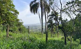 Imagem 7: Lindíssima área no morro da Encantada com escritura e uma bela vista