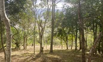 Imagem 4: Linda área com 2 hectares com belíssima vista da lagoa