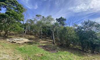 Imagem 6: Linda área com 2 hectares com belíssima vista da lagoa