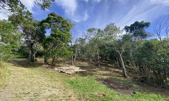 Imagem 5: Linda área com 2 hectares com belíssima vista da lagoa