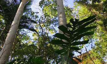 Imagem 5: Casa à venda em meio à natureza na Praia do Rosa