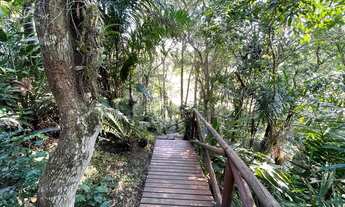 Imagem 3: Casa à venda em meio à natureza na Praia do Rosa