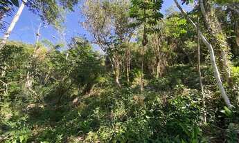 Imagem 6: Terreno em meio a natureza com bela vista do mar