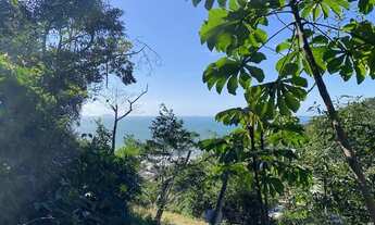 Imagem: Terreno em meio a natureza com bela vista