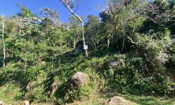 Imagem 4: Terreno em meio a natureza com bela vista do mar
