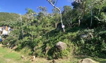 Imagem 5: Terreno em meio a natureza com bela vista do mar