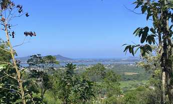 Imagem: Linda área com nascente no morro da Ressacada