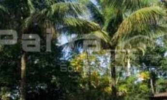 Imagem 1: Excelente sítio com 5.000m² de área com Sede, Piscina, Churrasqueiras, Pomar..