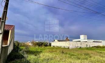 Imagem 5: Na Rua Duque De Caxias