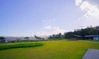 Imagem 7: Na Rua José Bressan