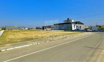 Imagem 2: Na Avenida Pedro Zapelini