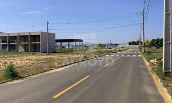 Imagem 2: Na Rua São João