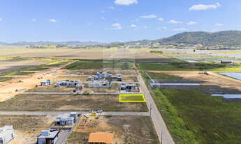 Imagem 6: Na Rua José Bressan