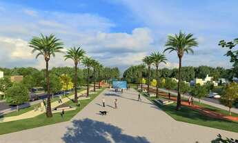 Imagem: Na Rua Rui Barbosa