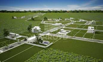 Imagem 5: Na Rua José Bressan