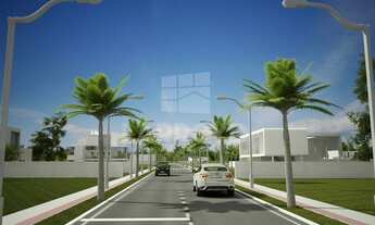 Imagem 6: Na Rua José Bressan