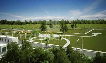 Imagem 7: Na Rua José Bressan