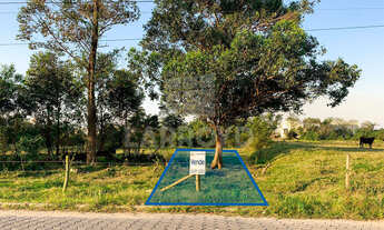 Imagem: Na Rua Jorge Lacerda