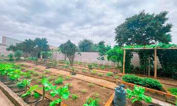 Imagem: Na Rua Mário De Bona