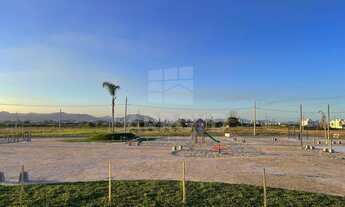 Imagem 5: Na Rua Rui Barbosa