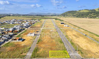 Imagem 4: Na Rua Rui Barbosa