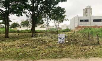 Imagem 5: Na Rua João Souza Orlandi