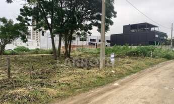 Imagem 4: Na Rua João Souza Orlandi