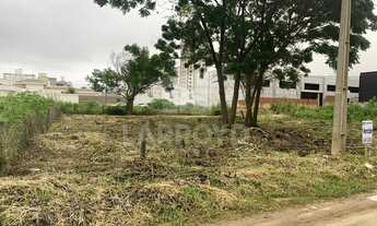 Imagem 3: Na Rua João Souza Orlandi