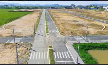 Imagem 7: Na Rua São João