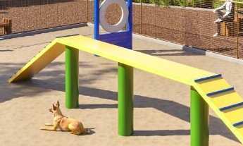 Imagem 4: Na Rua Andrino Sales Borges