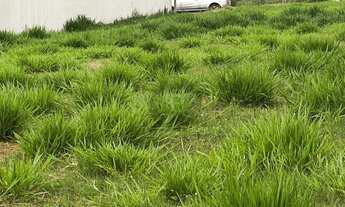 Imagem: Terreno à venda em Americana/SP