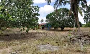 Imagem: Granja em Mangabeira (Macaíba) a 02KM da