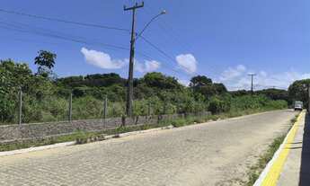 Imagem 7: TERRENO CACIMBINHAS Tibau do Sul