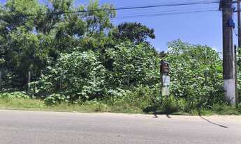 Imagem 5: TERRENO CACIMBINHAS Tibau do Sul