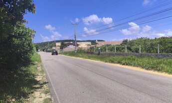 Imagem: TERRENO CACIMBINHAS Tibau do Sul