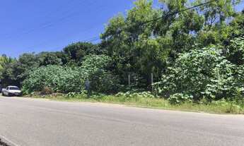 Imagem 4: TERRENO CACIMBINHAS Tibau do Sul