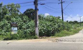 Imagem 6: TERRENO CACIMBINHAS Tibau do Sul