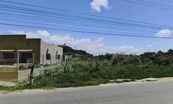 Imagem 2: TERRENO CACIMBINHAS Tibau do Sul