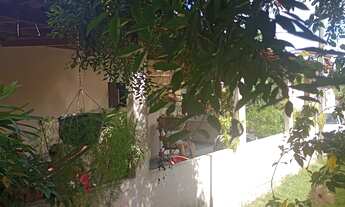 Imagem 2: CASA PRAIA DA PIPA