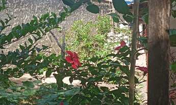 Imagem 5: CASA PRAIA DA PIPA