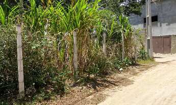 Imagem 2: Terreno Lote em Pipa, Tibau do Sul/RN