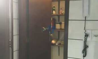 Imagem 7: Vendo belíssima casa (condomínio)pitimbu