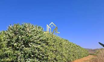 Imagem: Fazenda à venda em Patrocínio/MG