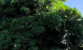 Imagem: Barracão Comercial, na Rua 5