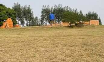 Imagem: Final da Estrada Jaborandi