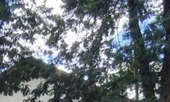 Imagem: Casa à venda no bairro Zona VII - Umuarama/PR